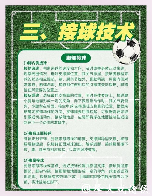 全面解析世界杯外围平台的特点与优势 全面解析世界杯外围平台的特点与优势